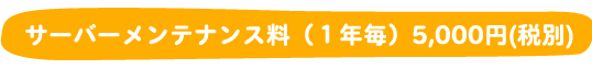 サーバーメンテナンス料（1年毎）5,000円(税別)